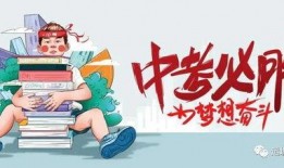 郑恺收入爆料最新消息视频,最新爆料视频揭示惊人收入真相