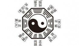 八卦语音文字爆料大全最新,揭秘娱乐圈最新动态与幕后故事